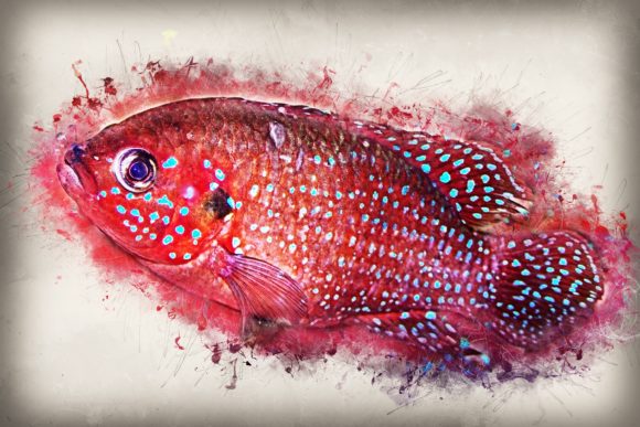 Download Fish Printables 7 Formats 300dpi Pack 05 - Printable Collection