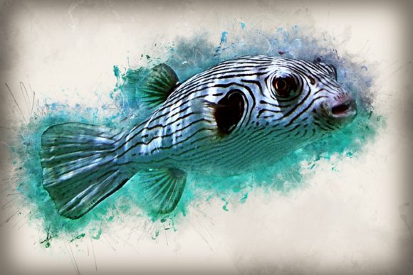 Download Fish Printables 7 Formats 300dpi Pack 10 - Printable Collection