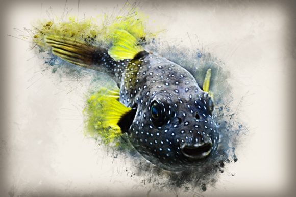 Download Fish Printables 7 Formats 300dpi Pack 09 - Printable Collection