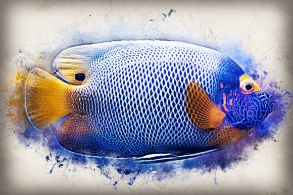 Download Fish Printables 7 Formats 300dpi Pack 07 - Printable Collection