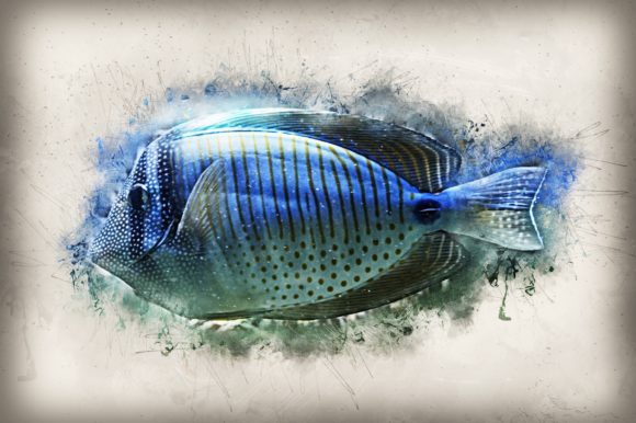 Download Fish Printables 7 Formats 300dpi Pack 04 - Printable Collection