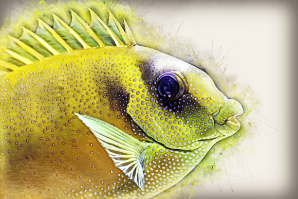 Download Fish Printables 7 Formats 300dpi Pack 06 - Printable Collection