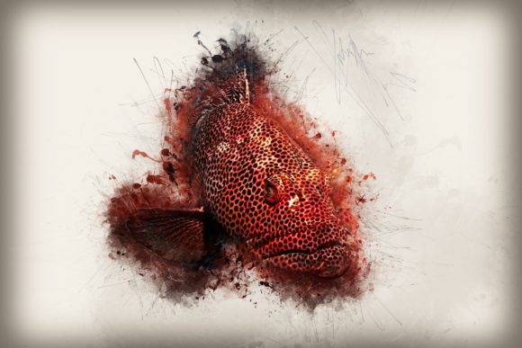 Download Fish Printables 7 Formats 300dpi Pack 11 - Printable Collection